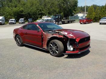  Salvage Ford Mustang